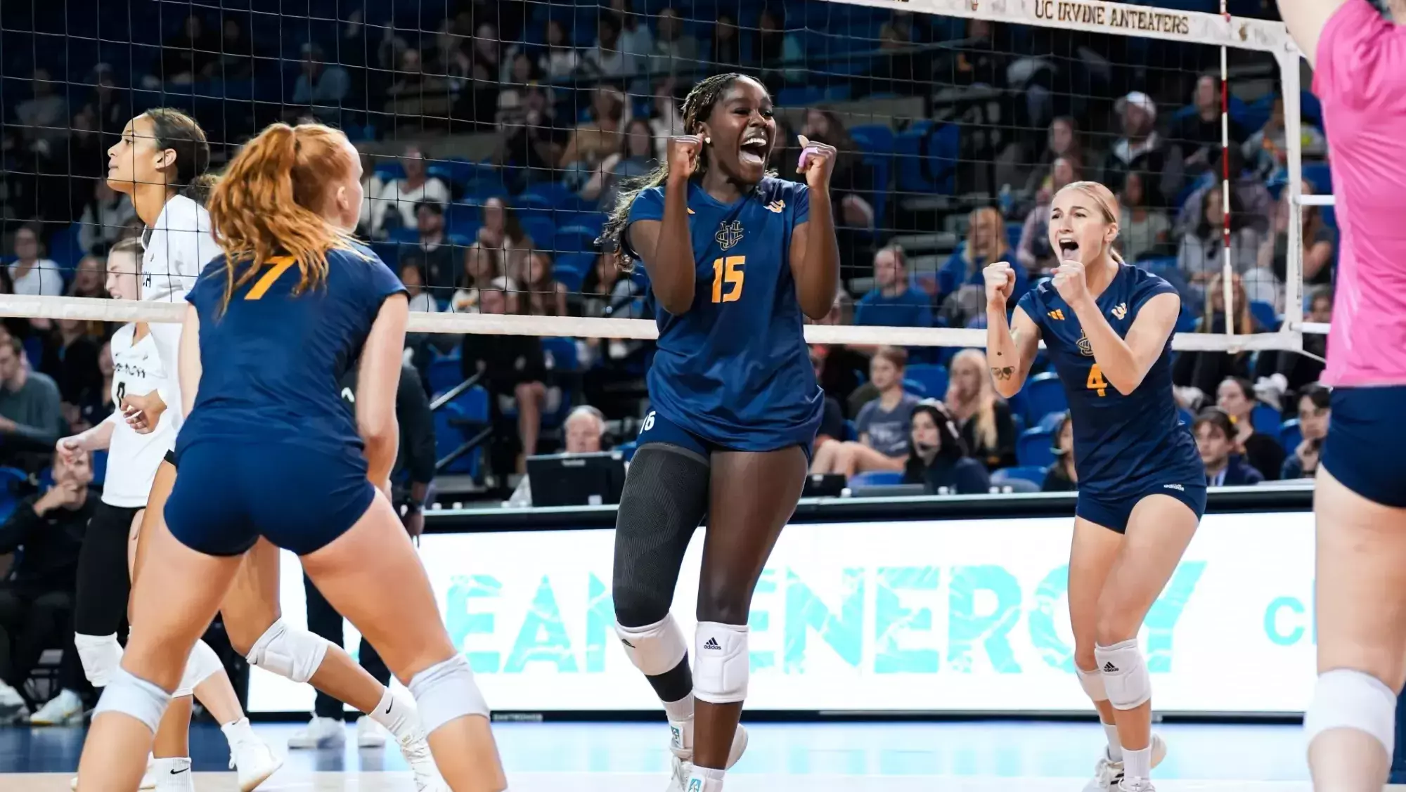 wvb-team-2024-season-review