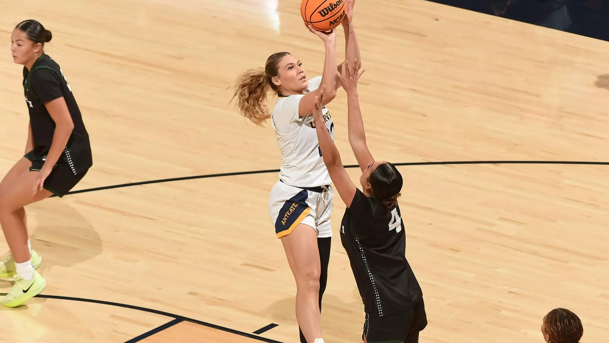 hunter-hernandez-wbb-2026-hawaii-recap