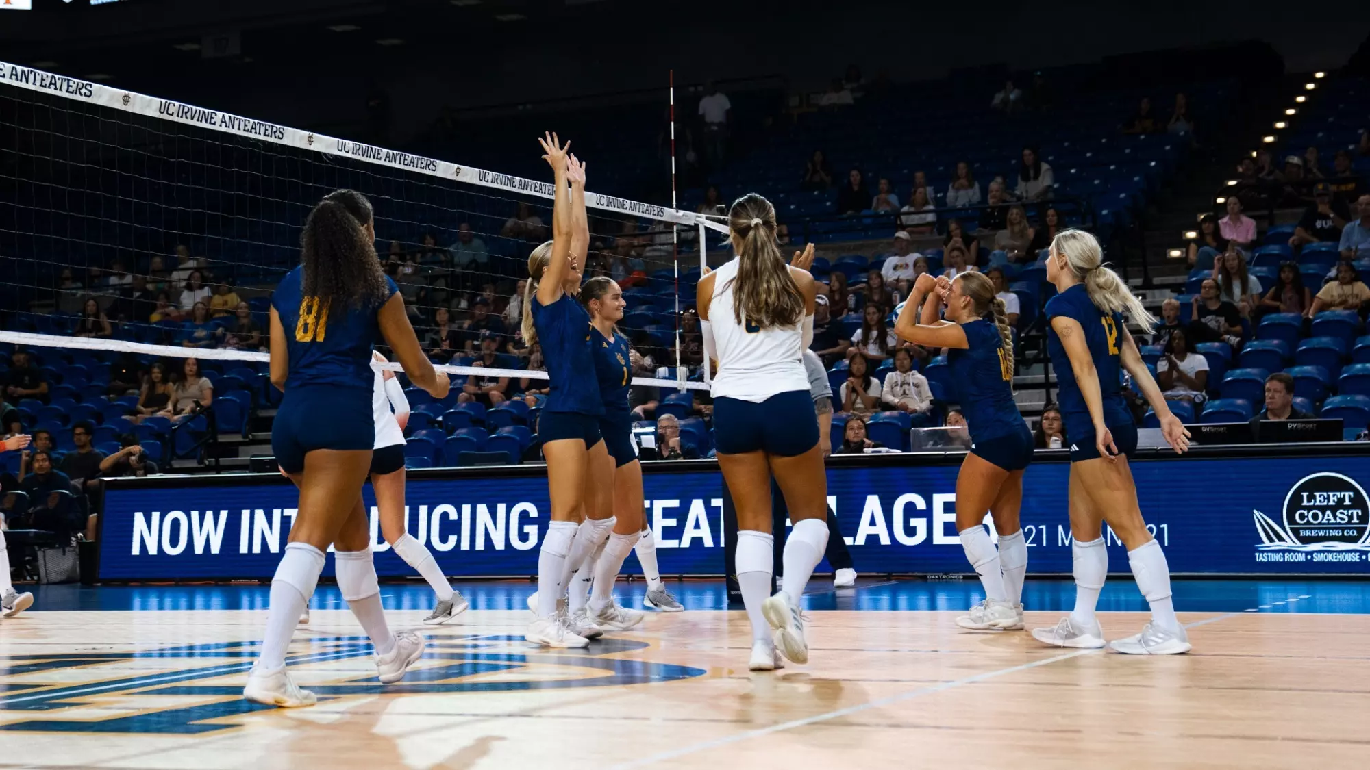 The UC Irvine women's volleyball players celebrate on the court after winning a point in their match against Cal State Fullerton.