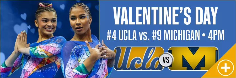 Gymnastics vs. Michigan