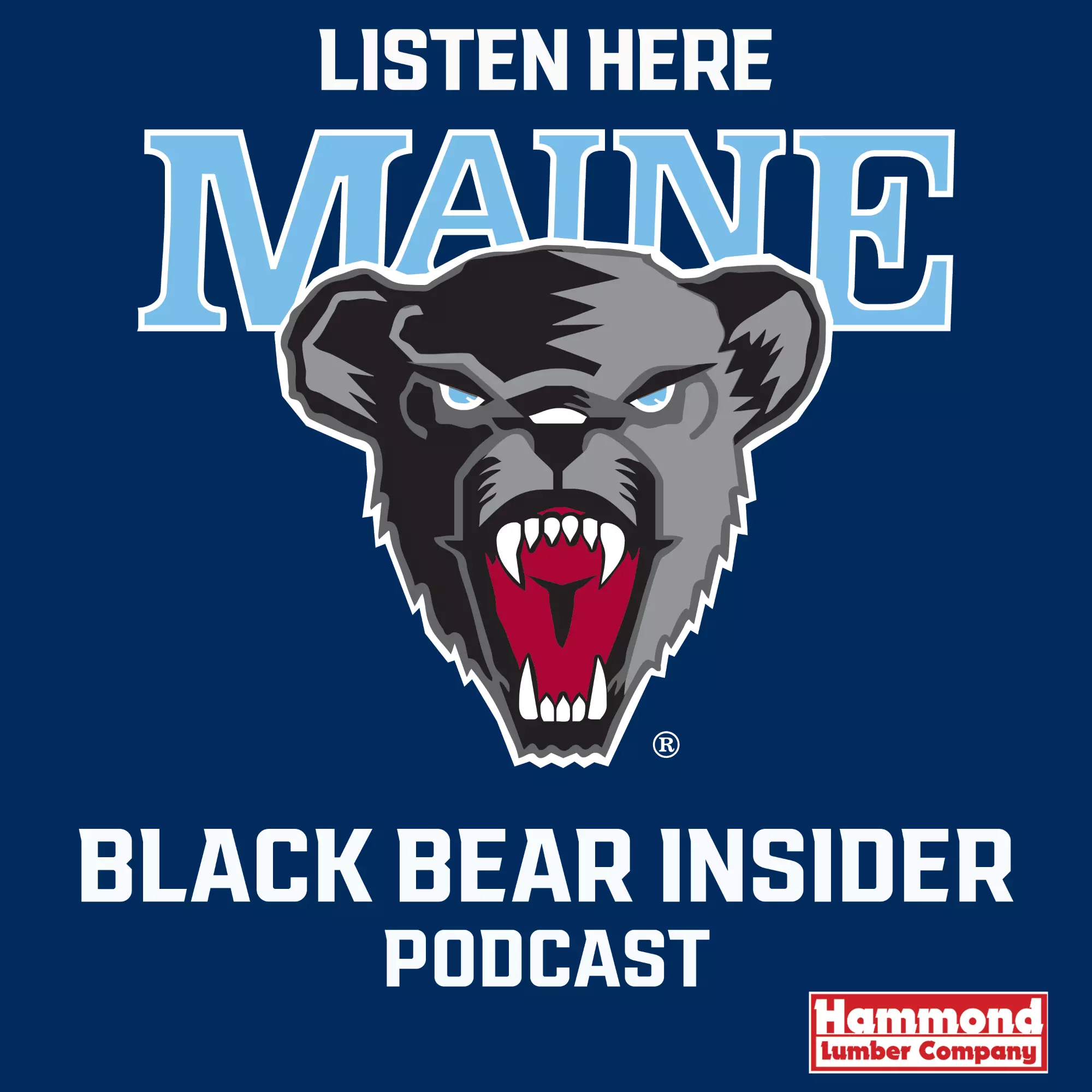 Podcast Image