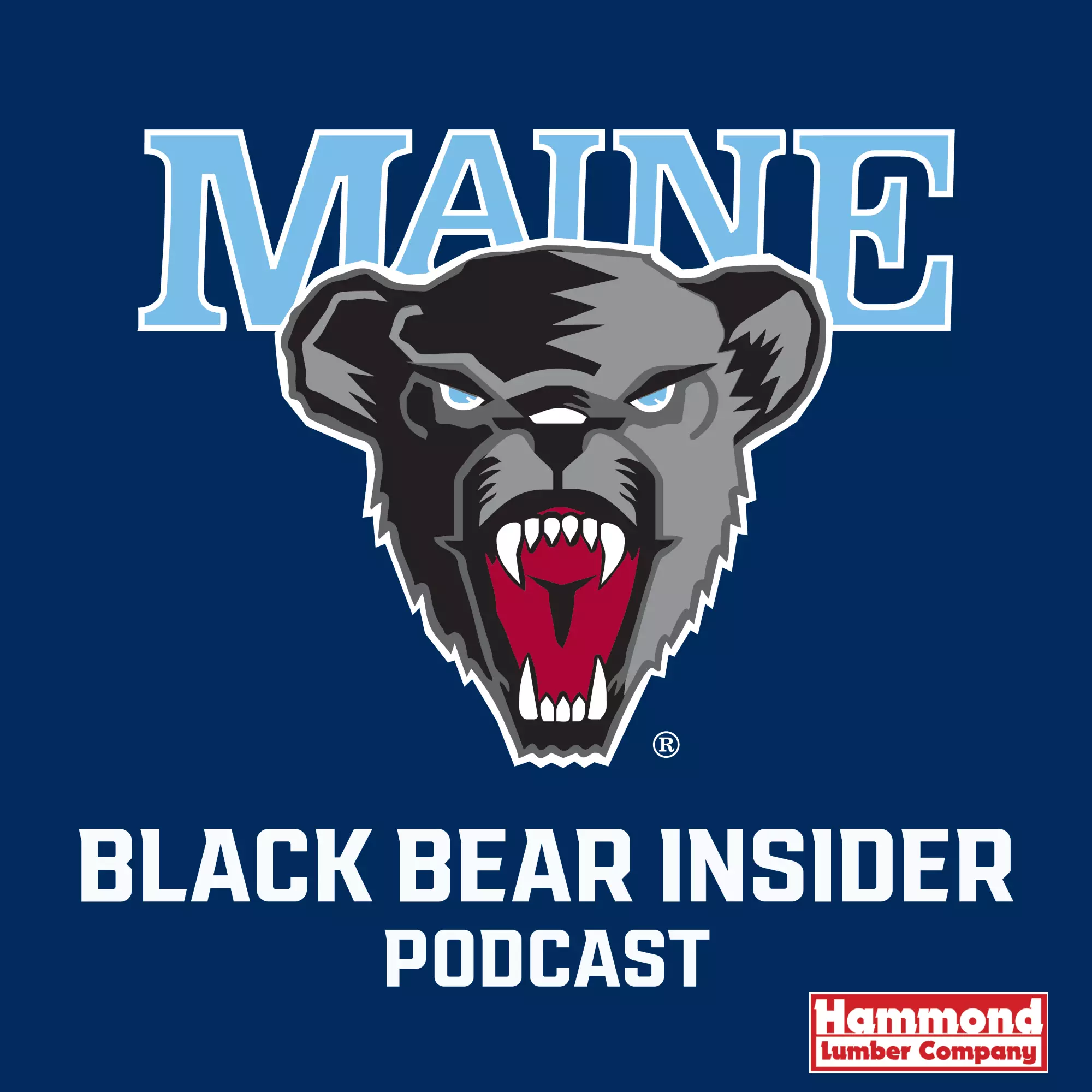 Podcast Image