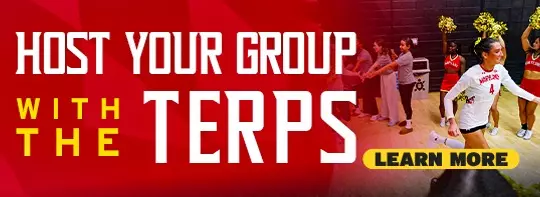 VB26 Groups 300x533