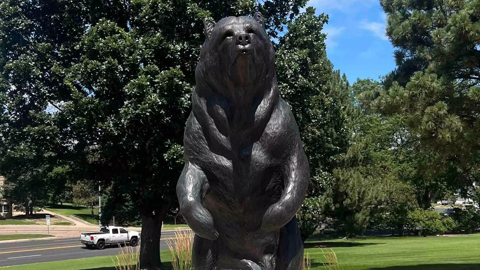 Northern Vision promo image