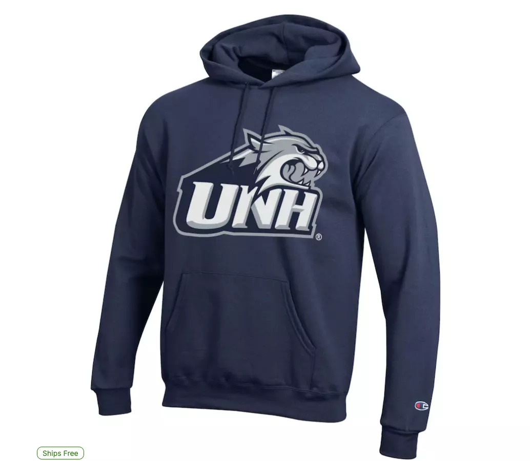 Image of Men's CHAMPION navy New Hampshire Wildcats Cat Head Powerblend Hoodie