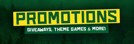 26 Promo Website Banner