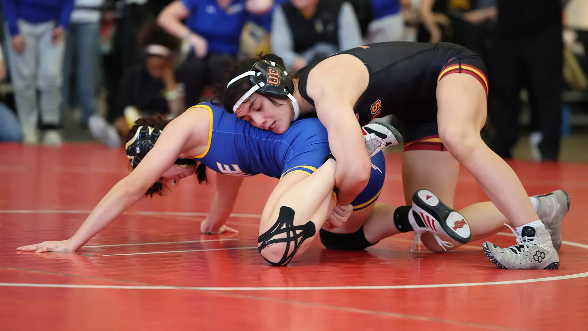 Stacy Bloomfield - 2024-25 - Women’s Wrestling - Ursinus College