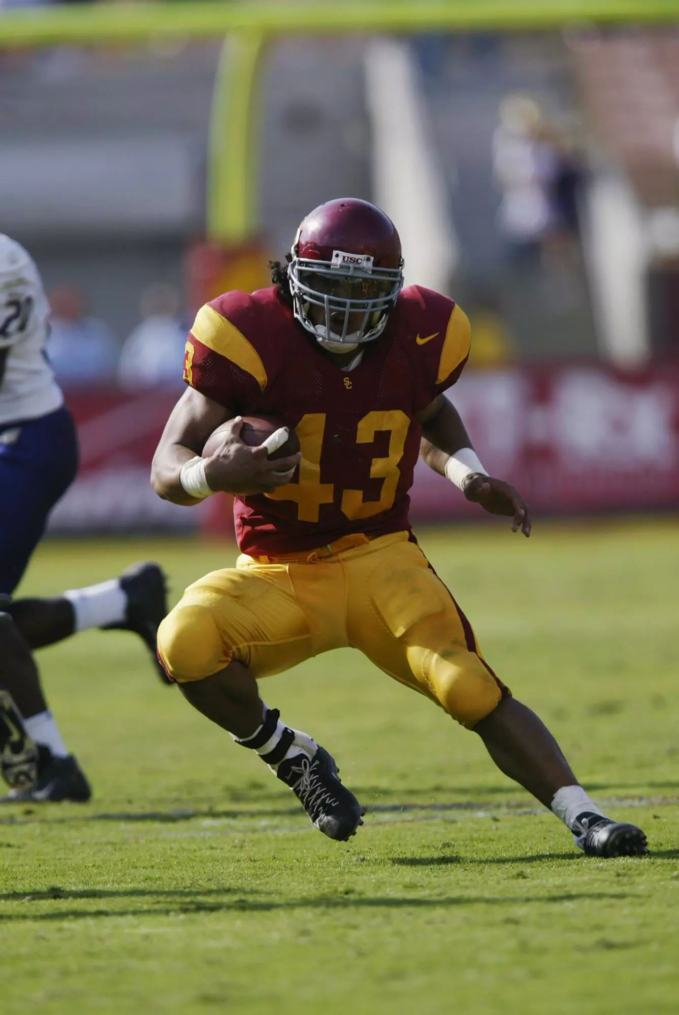 Troy Prolamalu running with the ball
