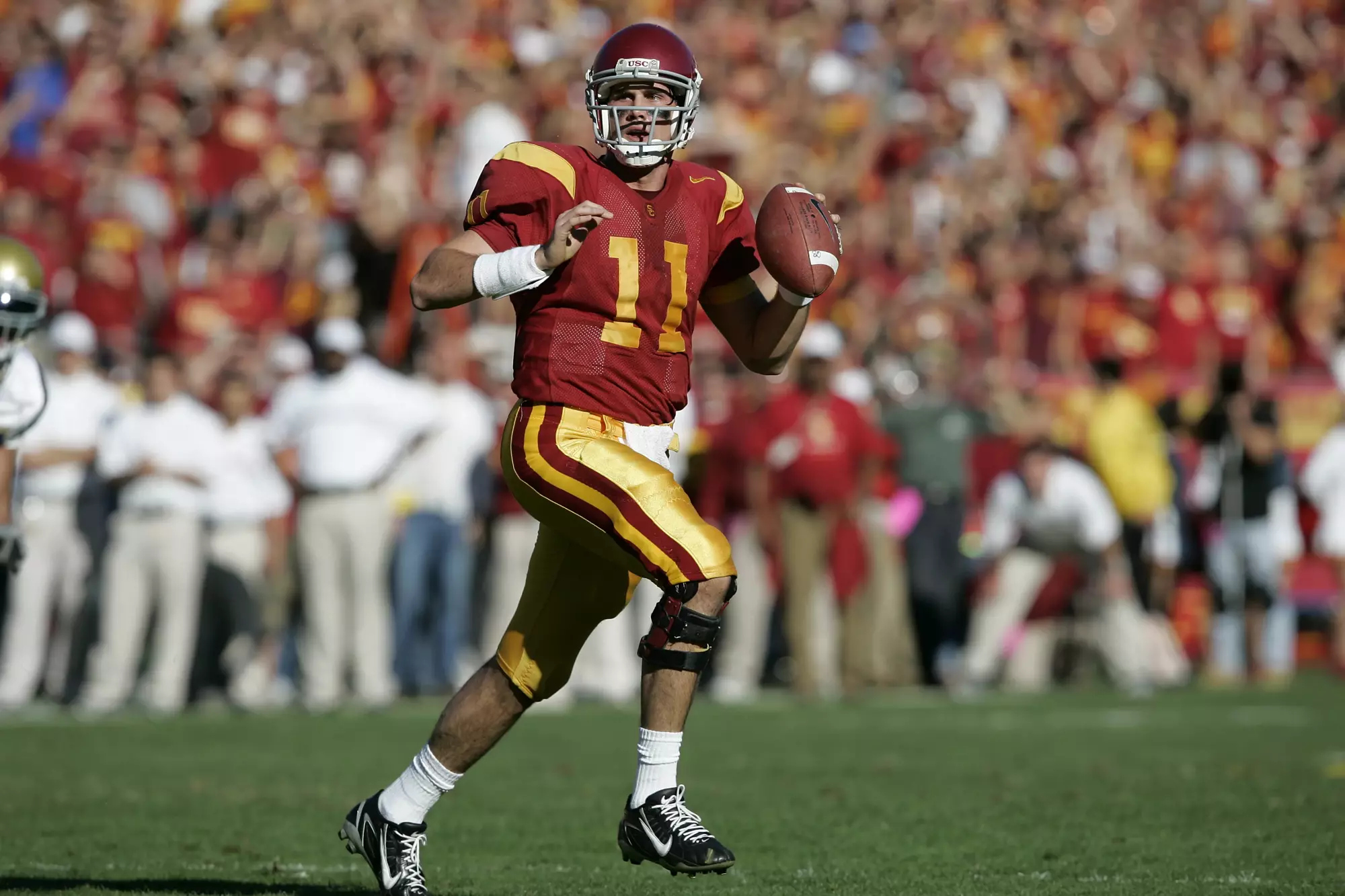 Matt Leinart preparing to throw