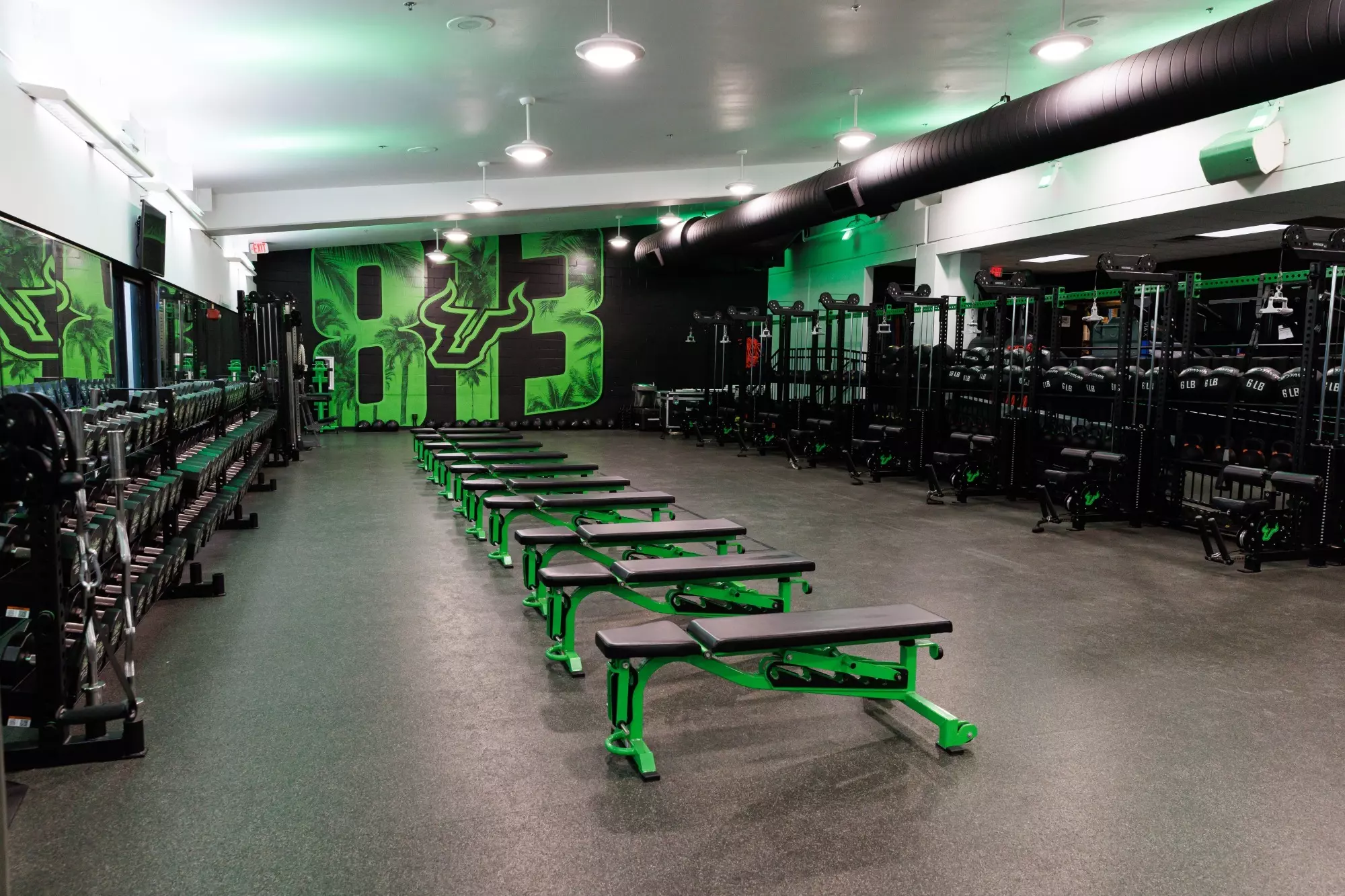 The weight room at the Lee Roy Selmon Athletics Center photographed on November 27, 2024.
(Carl Schmid / University of South Florida Athletics)