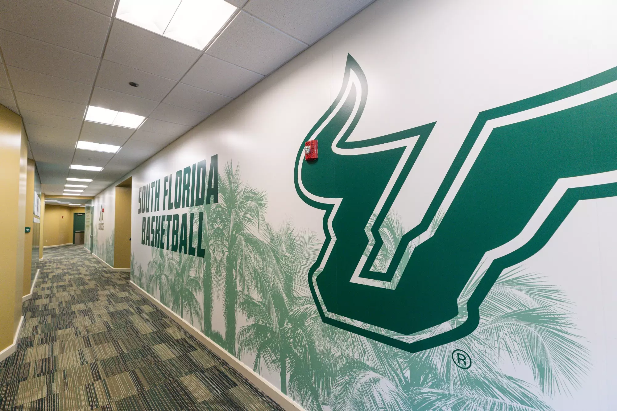 South Florida Bulls Basketball Facilities on May 27, 2024. (Mary Holt/South Florida Basketball)