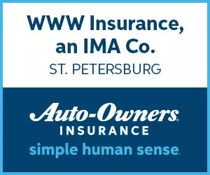 WWW Insurance 970x90