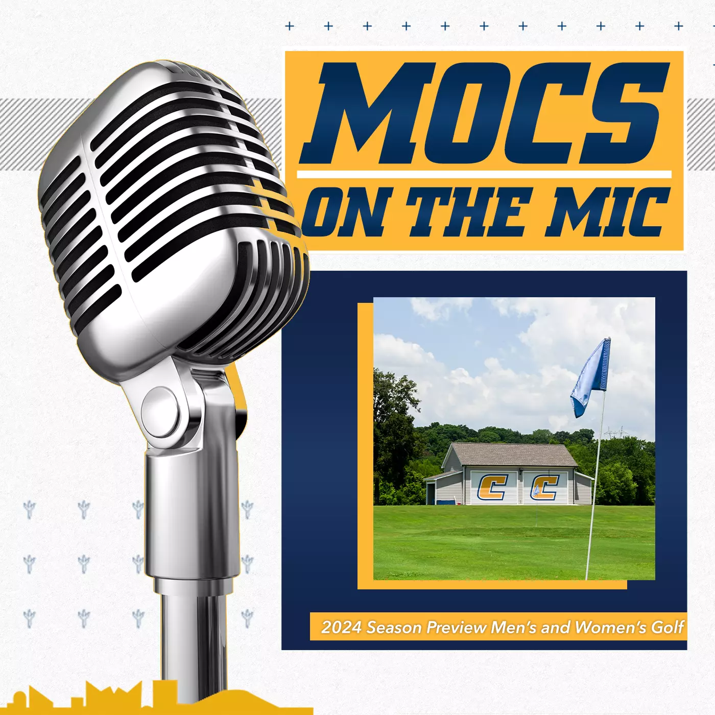 Podcast Image