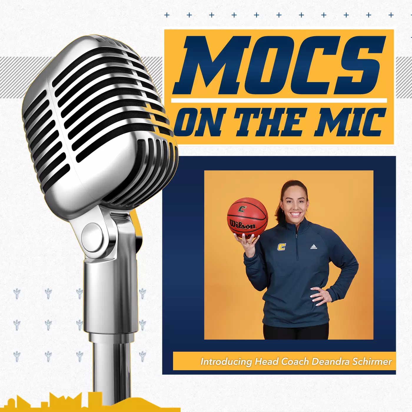 Podcast Image