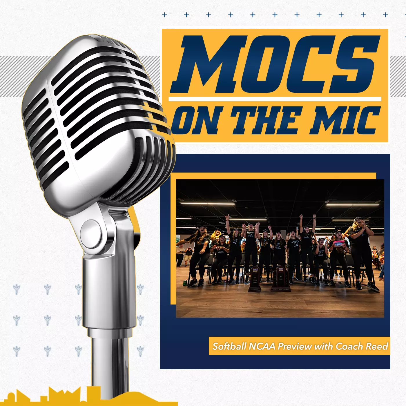 Podcast Image