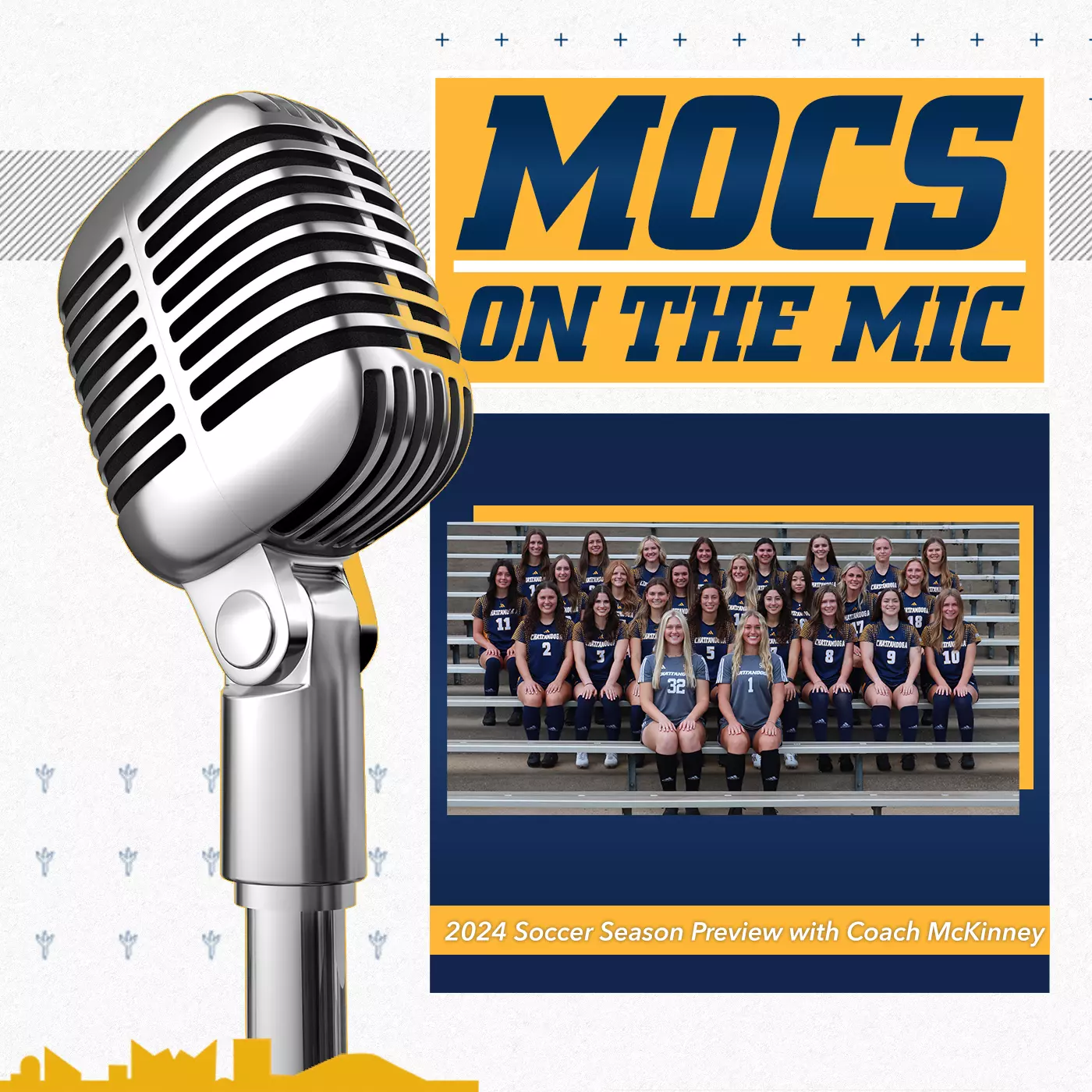 Podcast Image