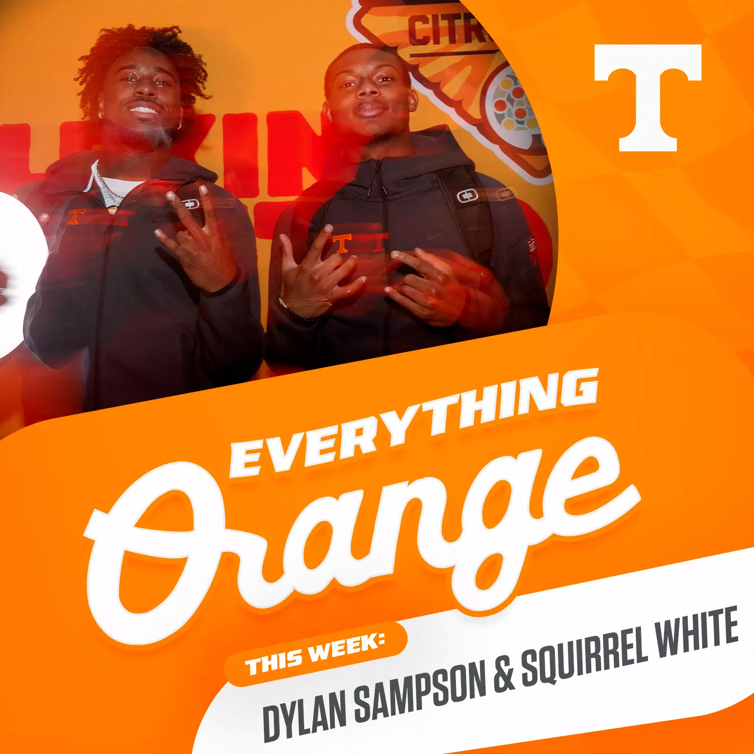 Podcast Image