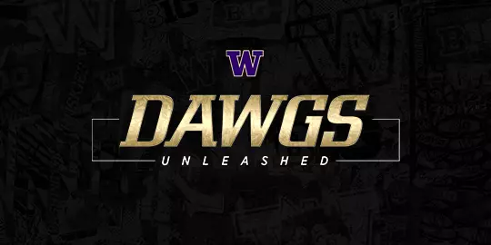Dawgs Unleashed website graphic with UW logo - small