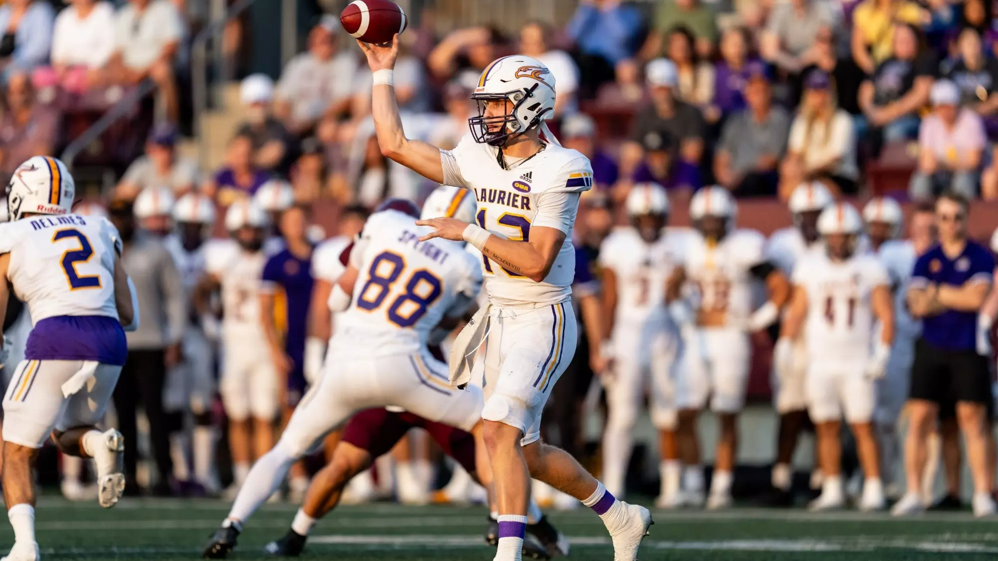 Taylor Elgersma - 2024 - Football - Laurier Athletics - Waterloo Campus