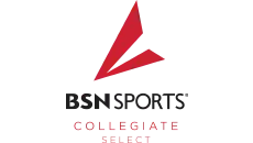 BSN Logo
