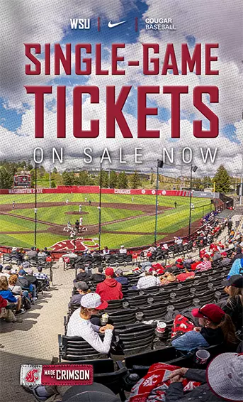 Baseball Single-Game Ticket Ad