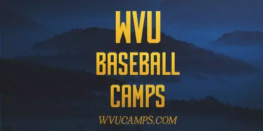 Baseball Camps