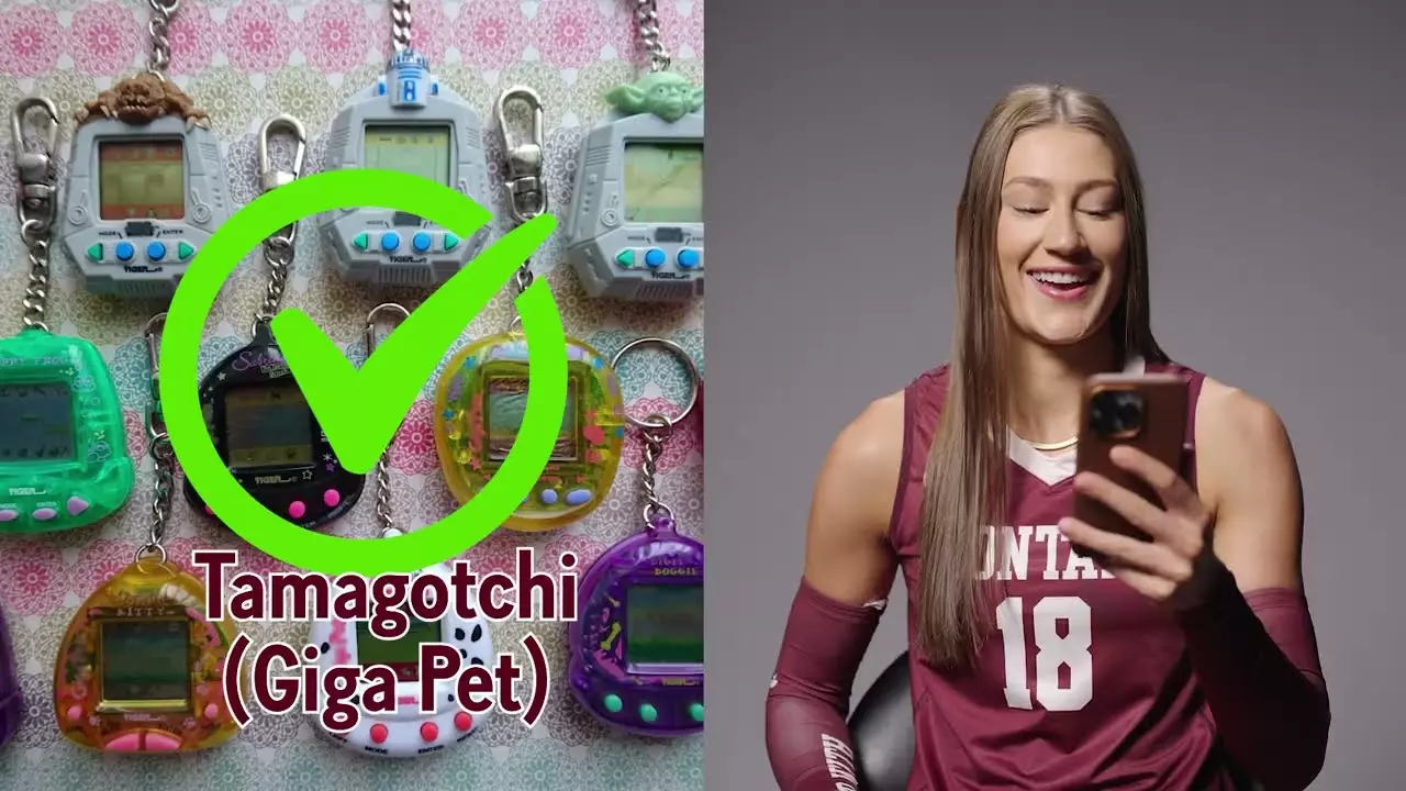 Image related to Name The Object with Griz Volleyball