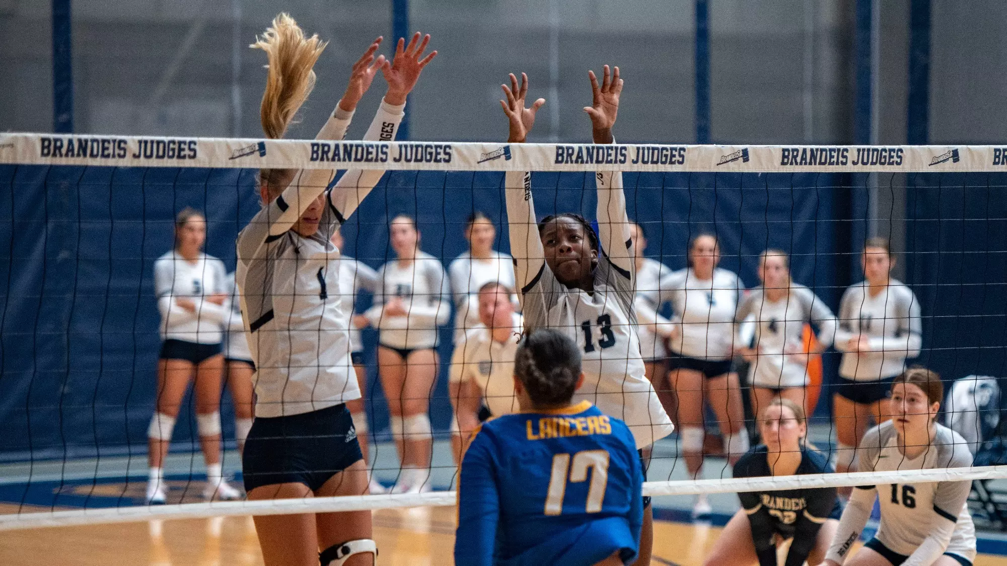 Arianna Jackson 2024 Women s Volleyball Brandeis University arianna-jackson-2024-women-s-volleyball-brandeis-university