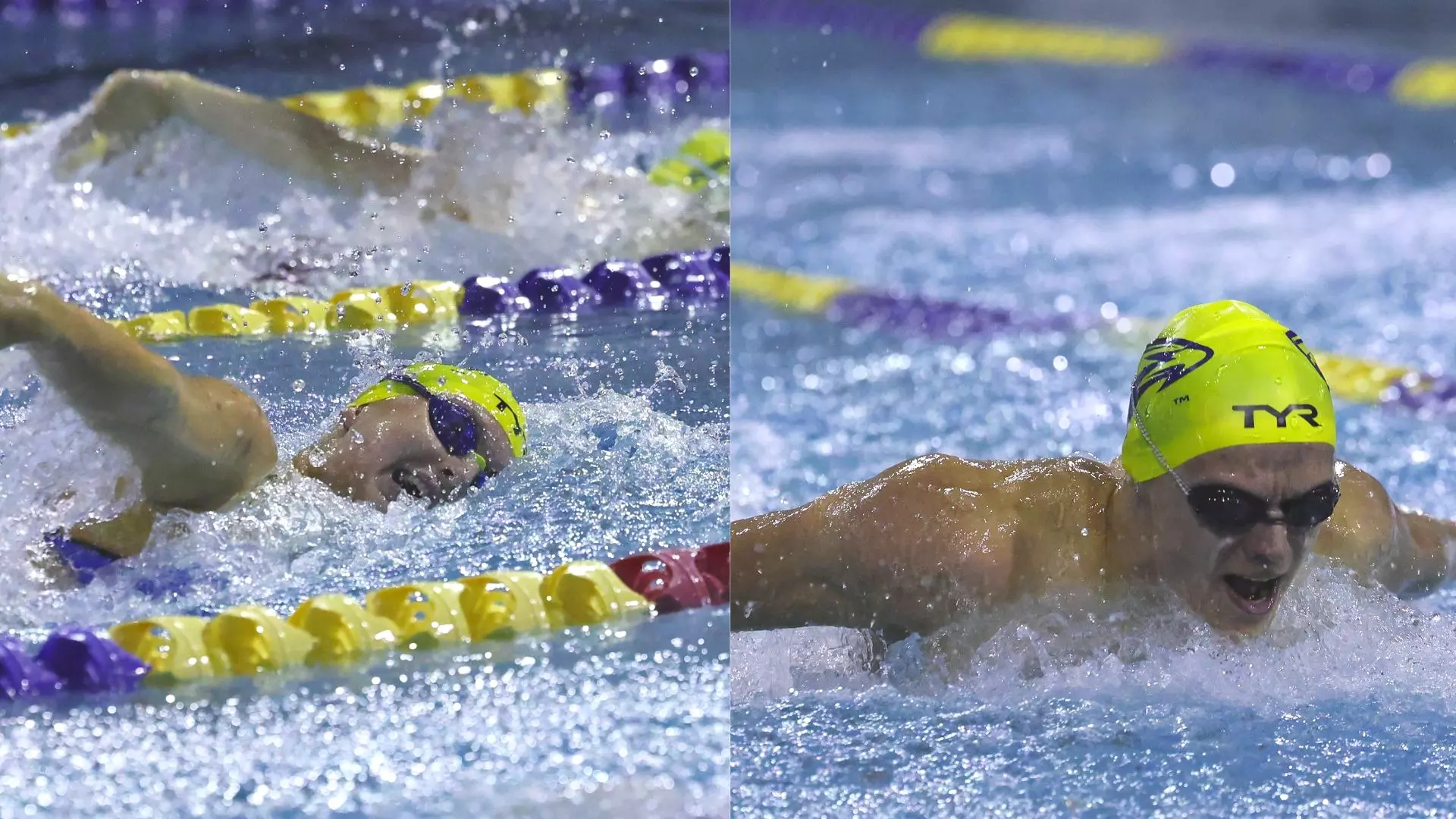 Emory Pool Emory Swimming & Diving Sweeps Saturday Dual Meet Against Sewanee ...