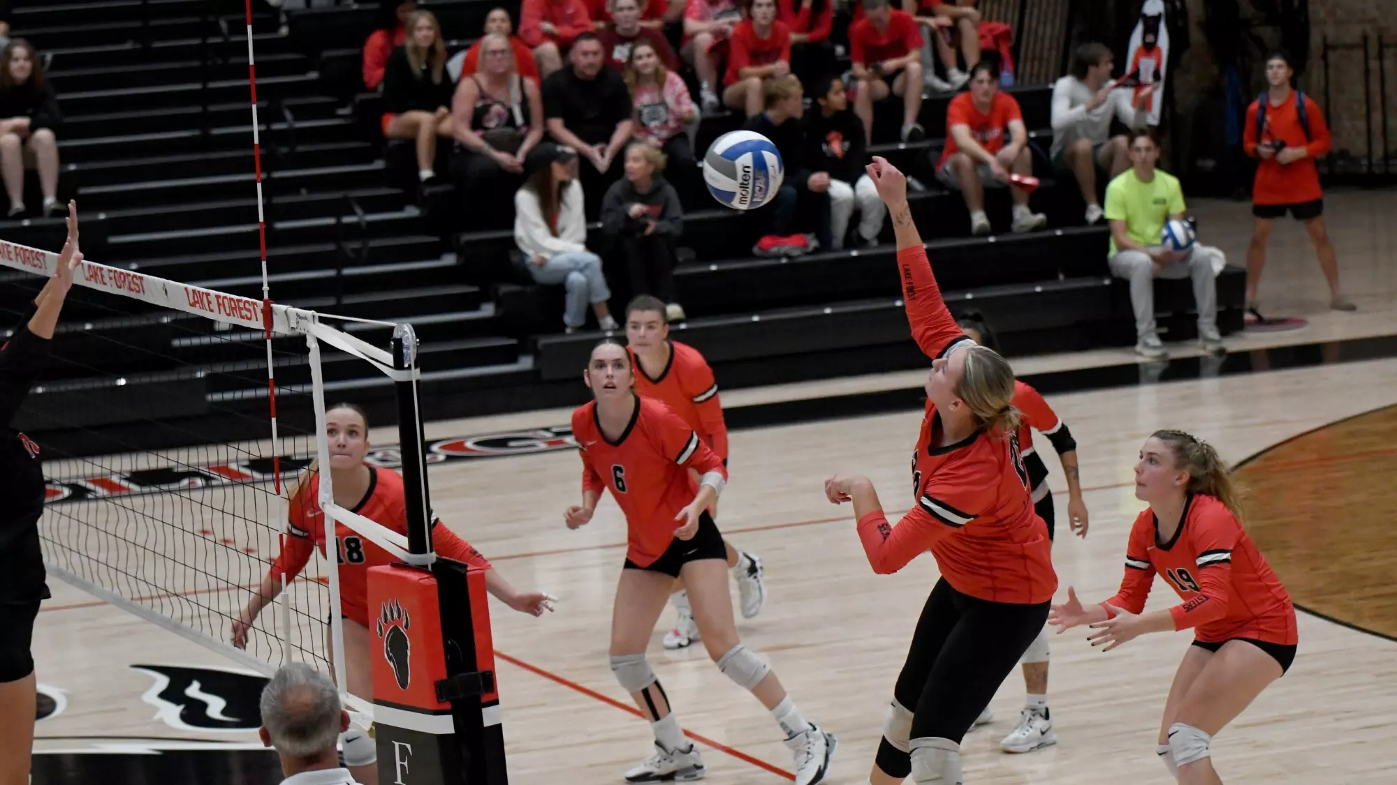 Ireland Van Stone - 2025 - Women's Volleyball - Lake Forest College