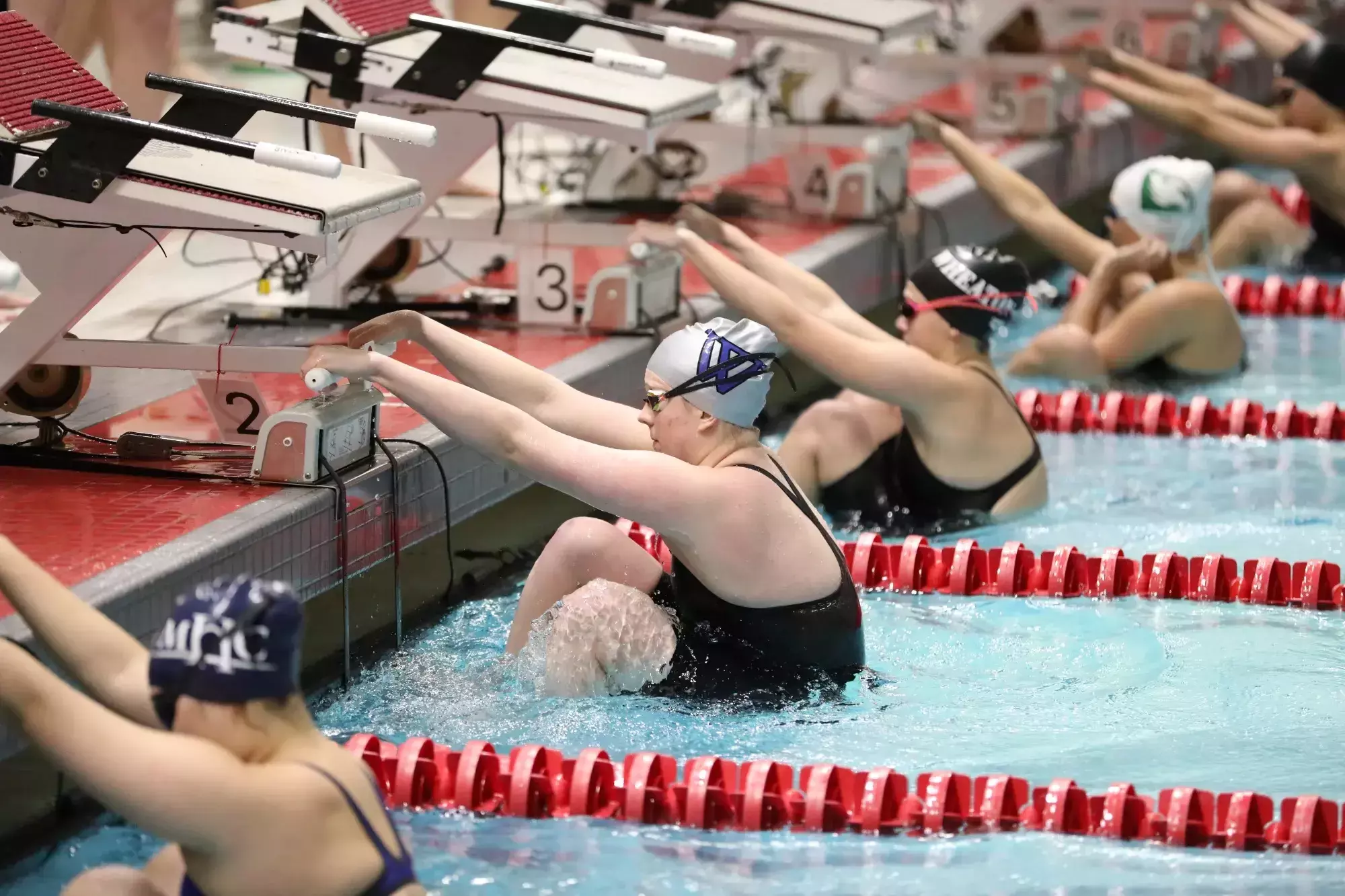 Samara Butler Lily Fender - 2025-26 - Swimming and Diving - Wellesley College