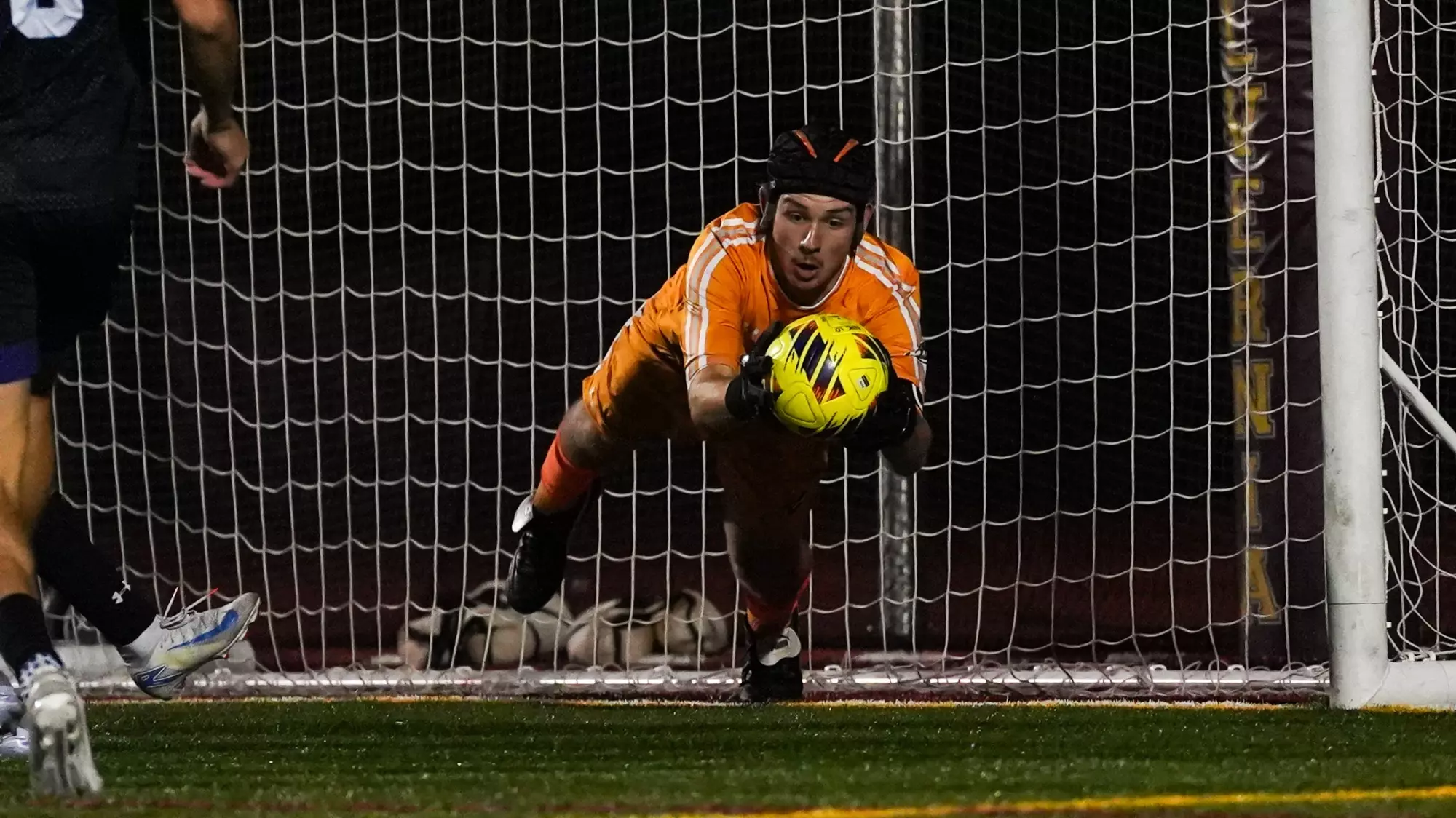 Rob Solley Solley Sets Career Saves Record, Golden Wolves Grab Scrappy Draw ...