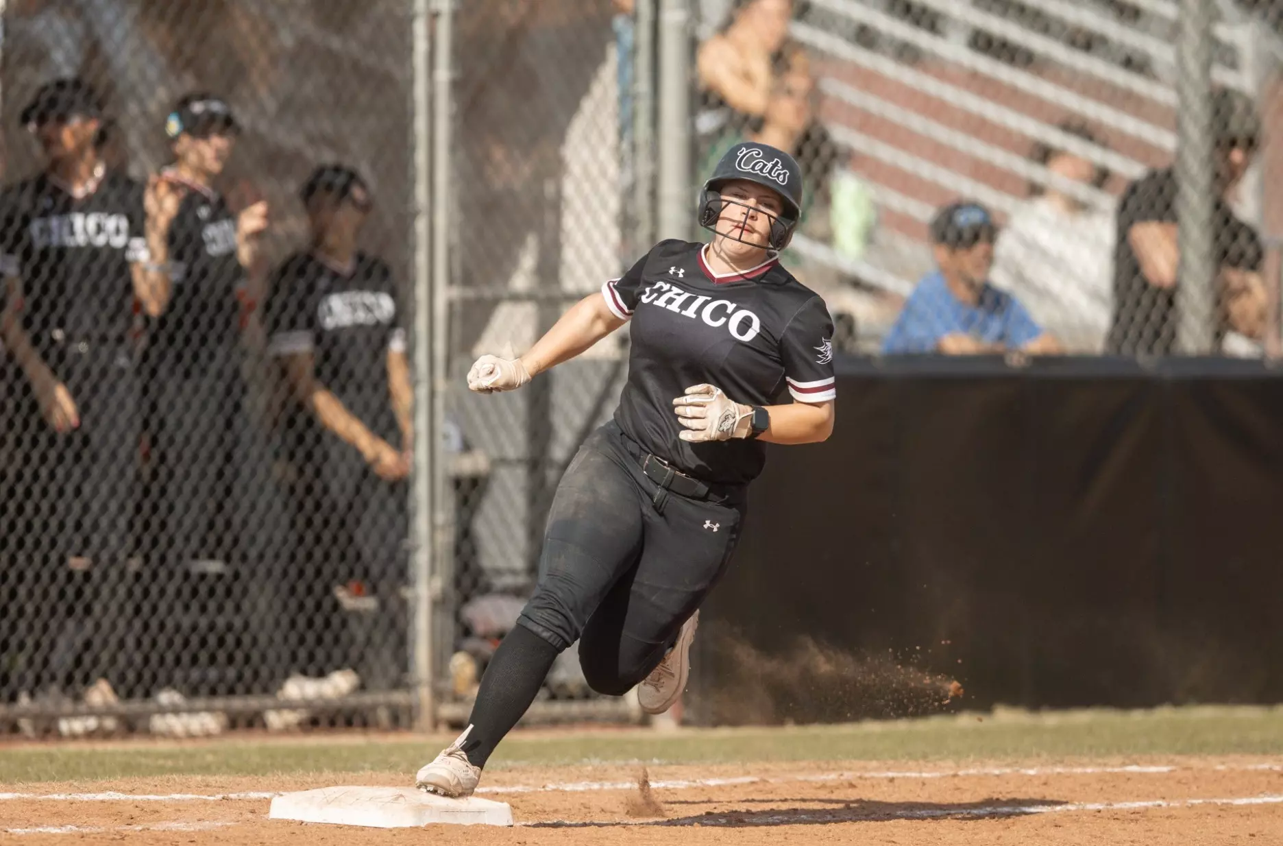 Marissa Anderson 2026 Softball Chico State Athletics marissa-anderson-2026-softball-chico-state-athletics