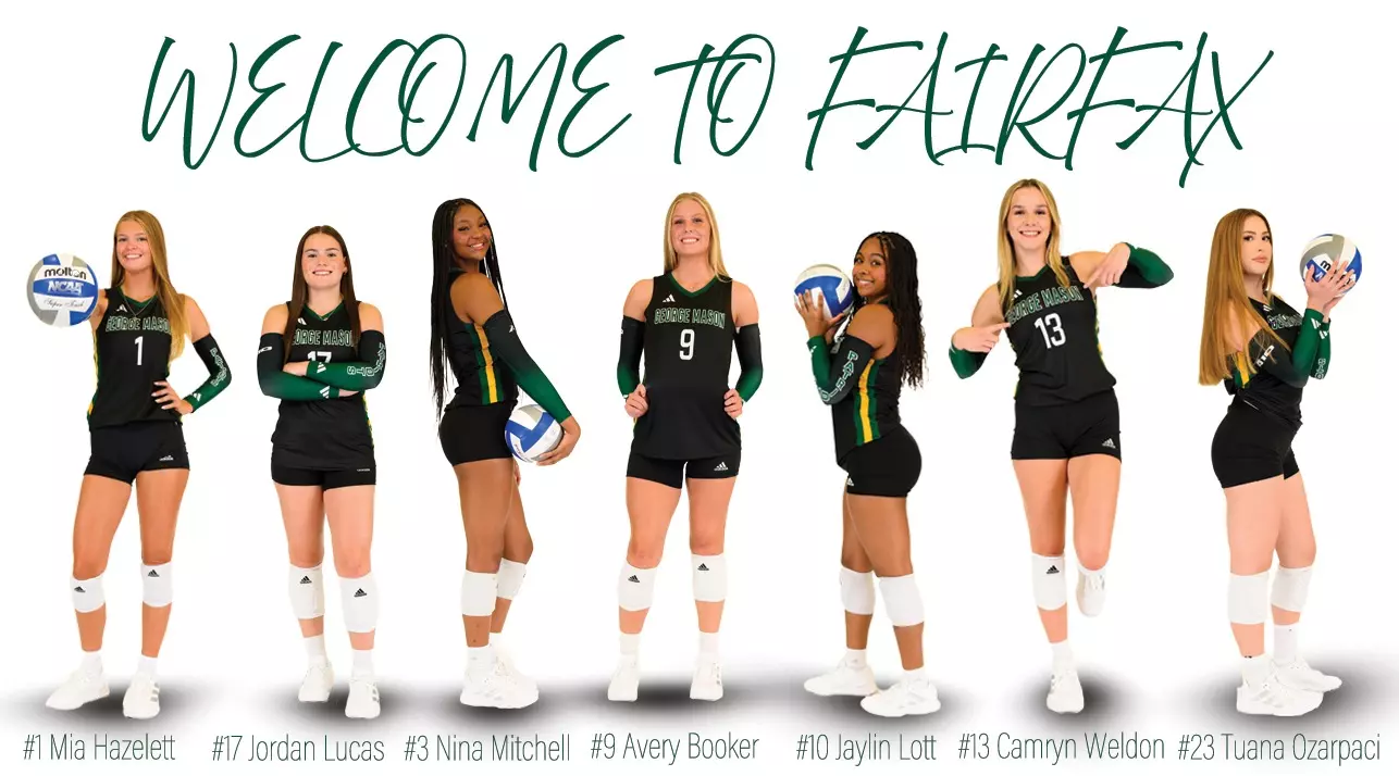 WVB Newbies WVB Newbies