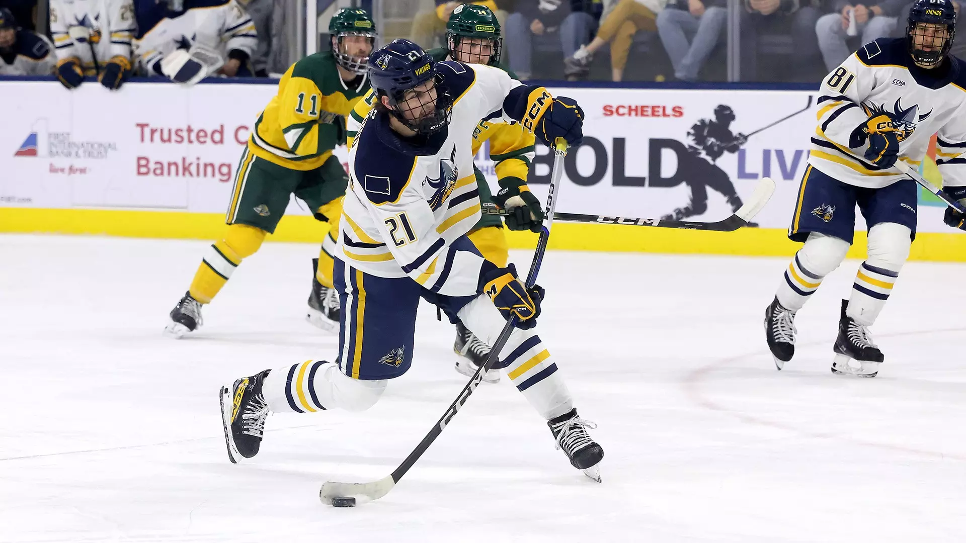 Viking Hockey Falls to Seawolves in Overtime, 6-5 - Augustana ...