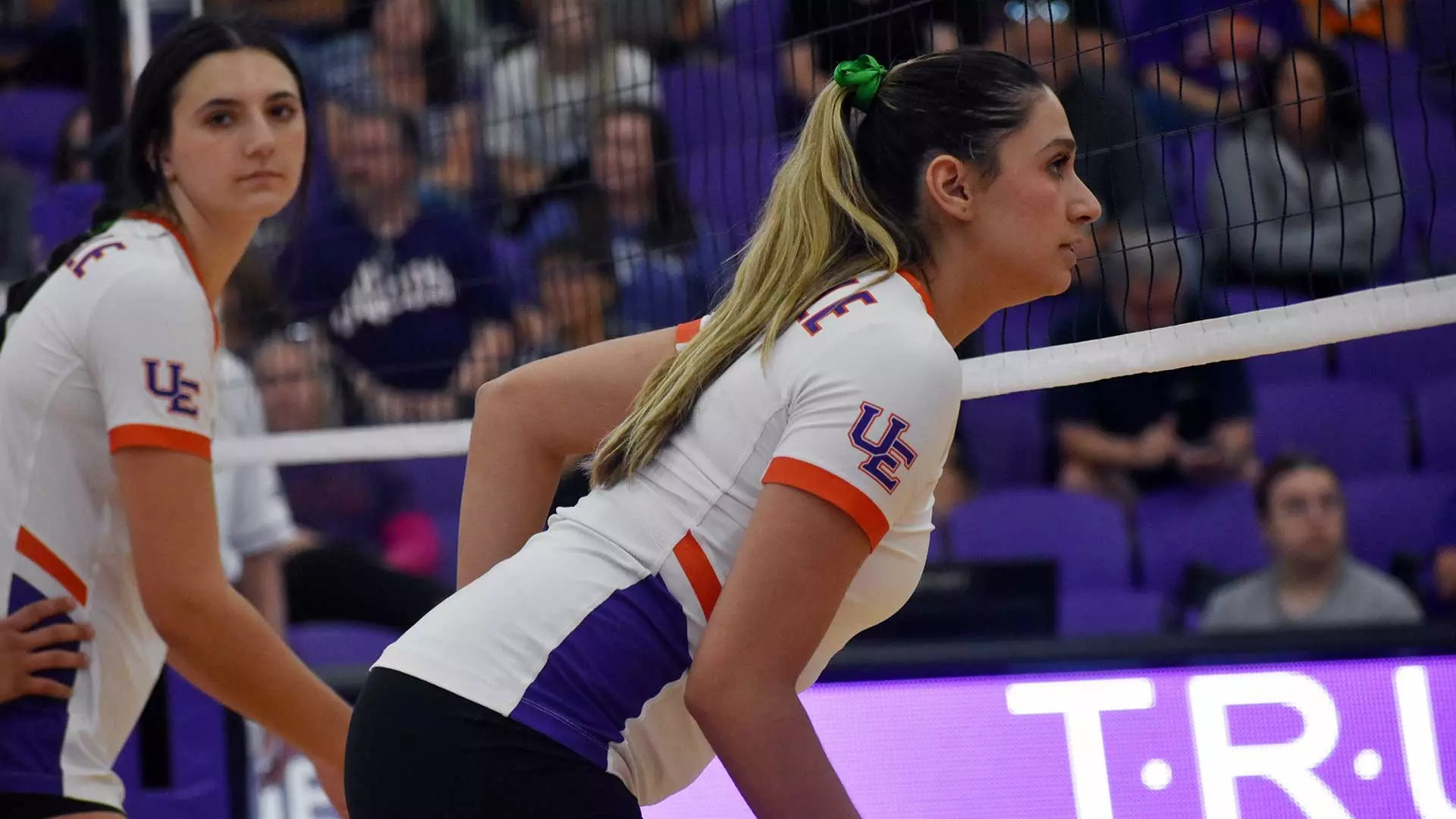 Angelica Gonzalez Maltes - Volleyball - University of Evansville Athletics