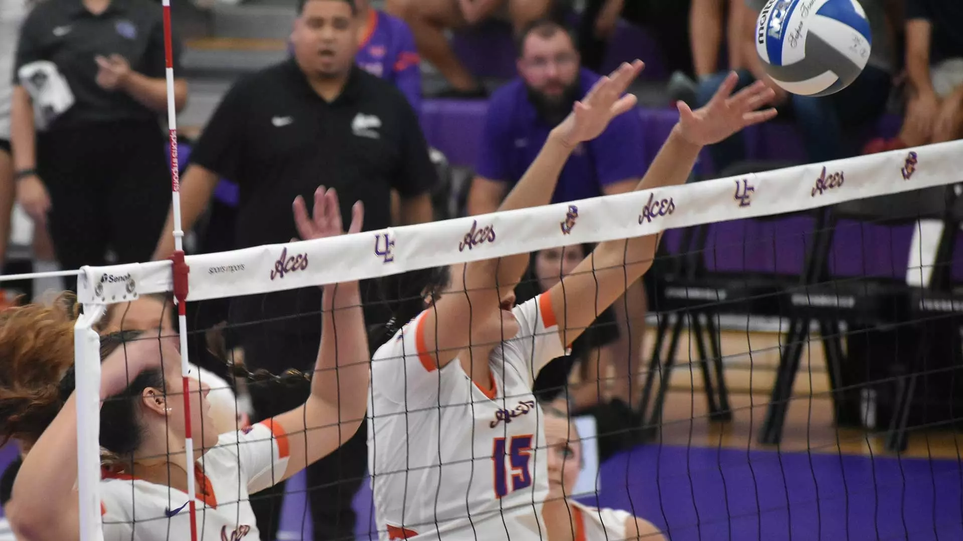 Madisyn Steele - Volleyball - University of Evansville Athletics