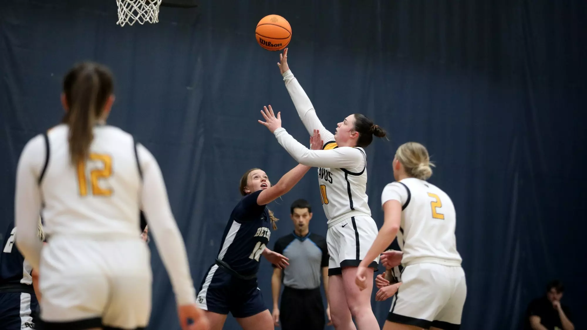 Morgan Kelly - 2024-25 - Women's Basketball - Gustavus Adolphus College