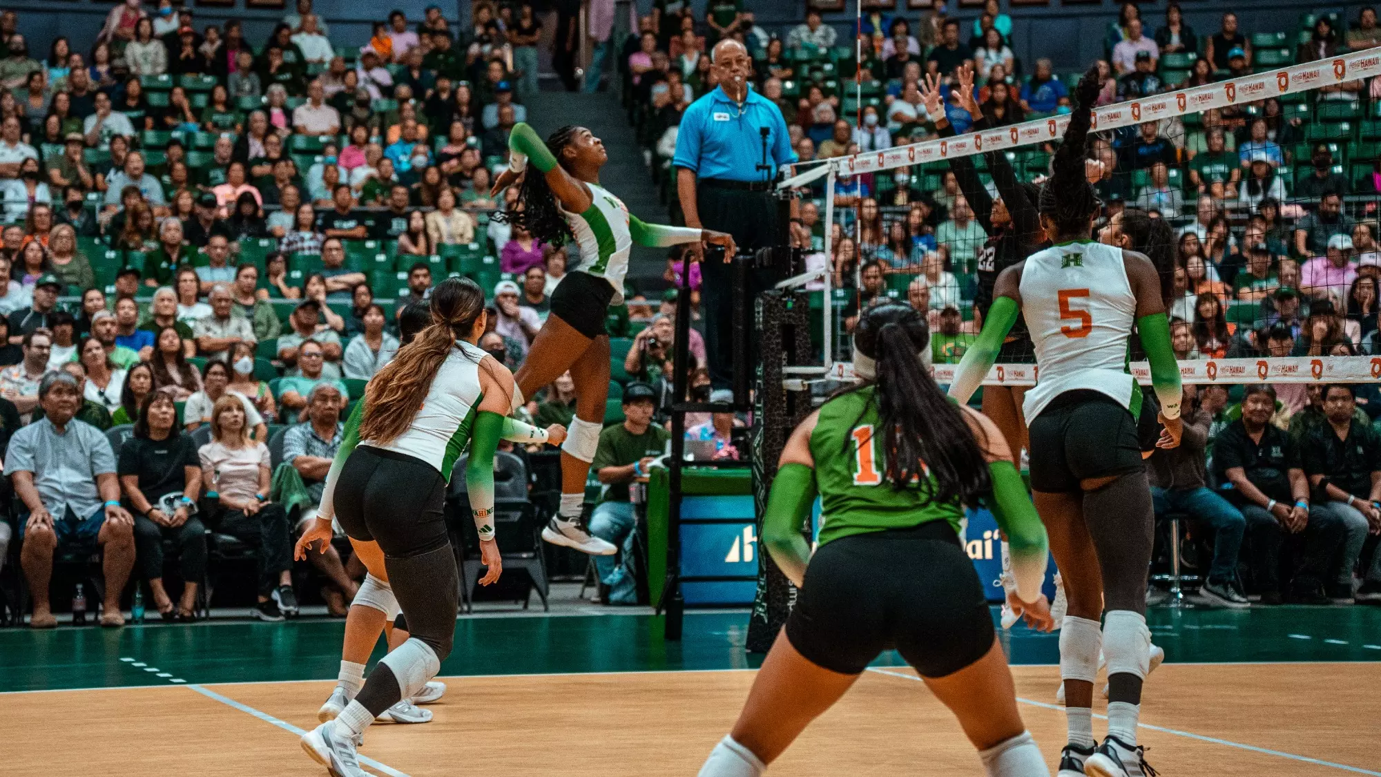 Women's Volleyball Outlasts CSUN in Five Sets - University of Hawai'i ...