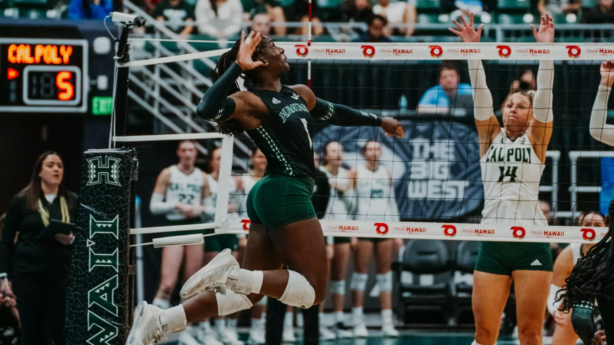 Stella Adeyemi Women s Volleyball University Of Hawai i At Manoa stella-adeyemi-women-s-volleyball-university-of-hawai-i-at-manoa
