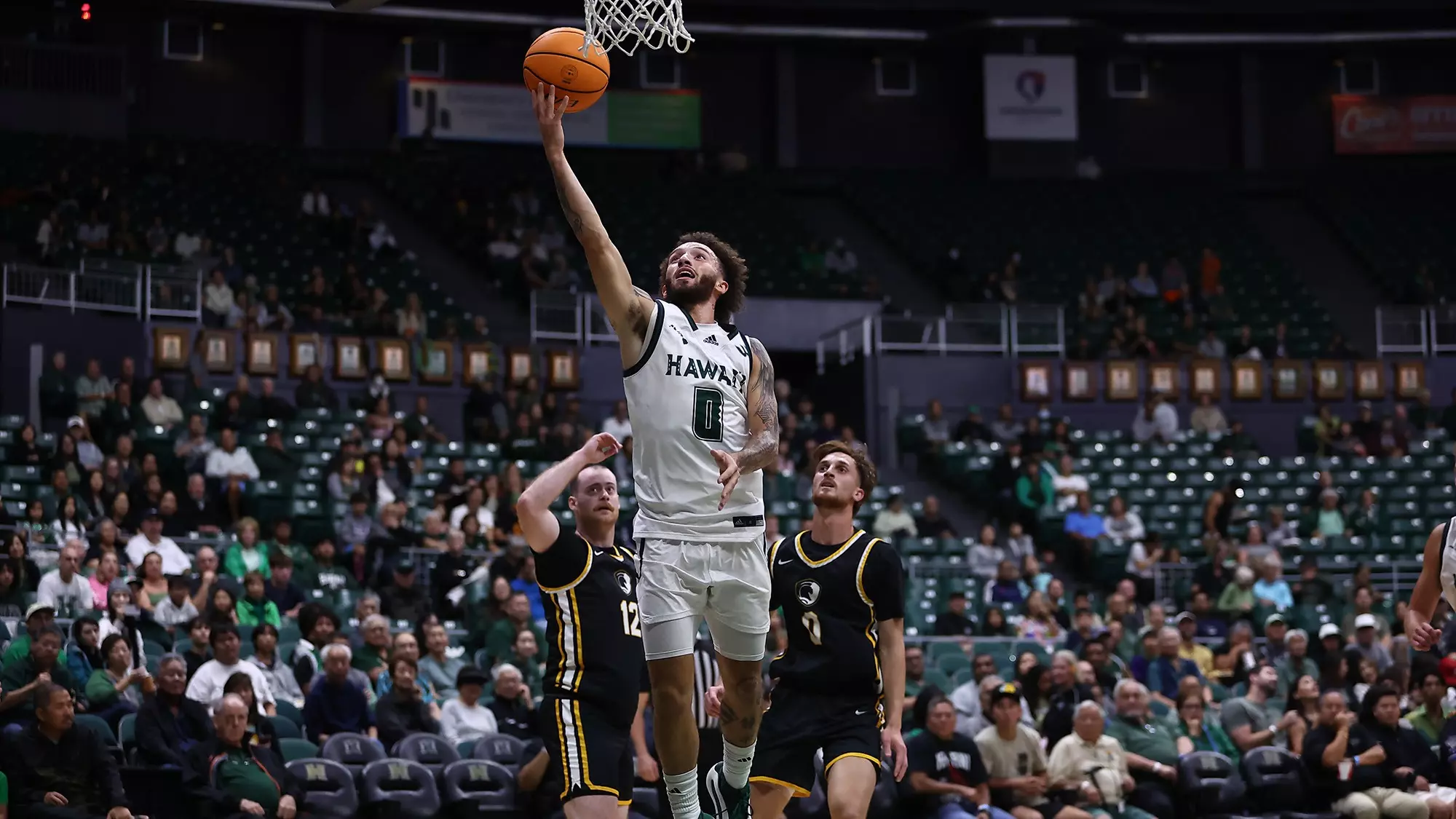 Jerome Rapp Kody Williams - Men's Basketball - University of Hawai'i at Manoa Athletics