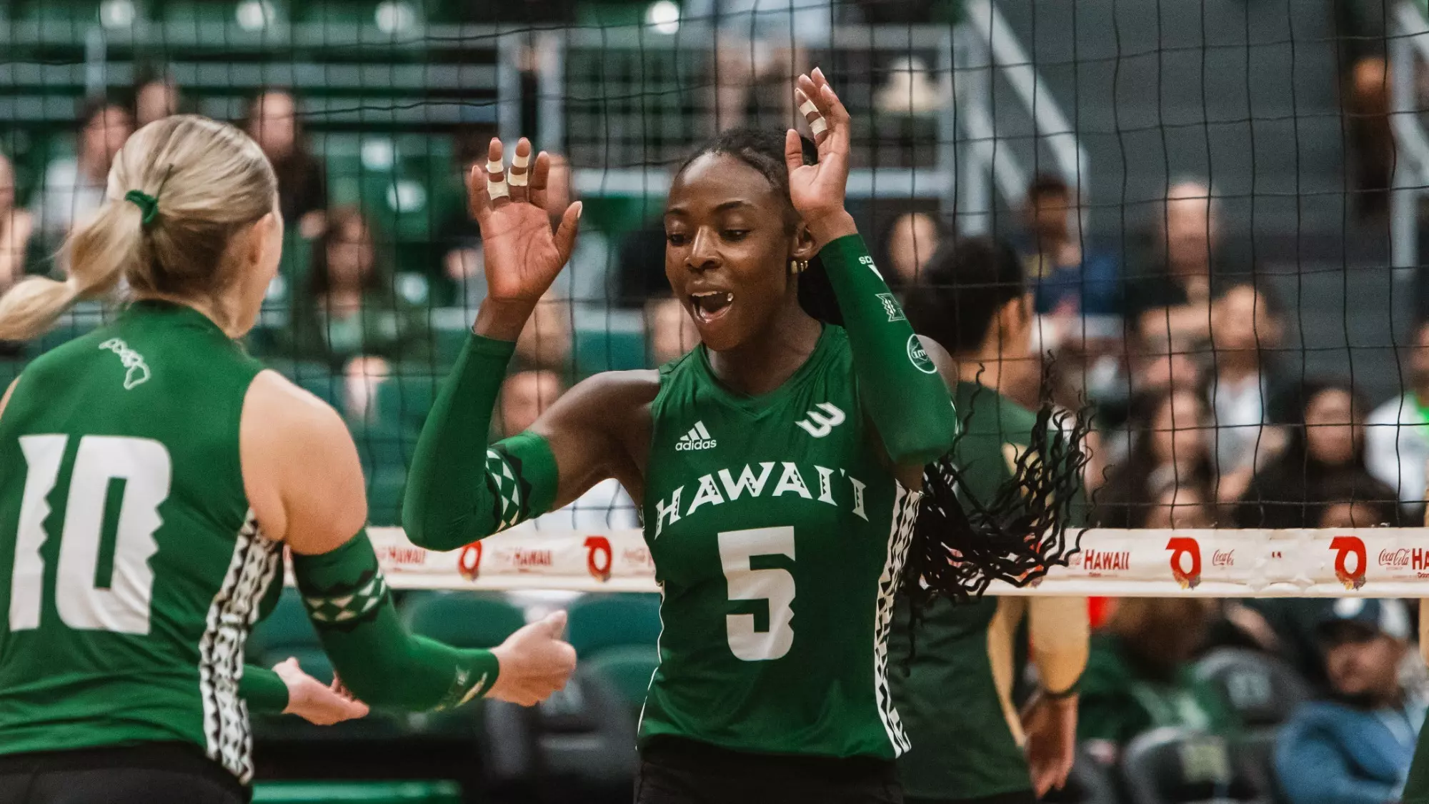 Jacyn Bamis Women s Volleyball University Of Hawai i At Manoa Athletics jacyn-bamis-women-s-volleyball-university-of-hawai-i-at-manoa-athletics
