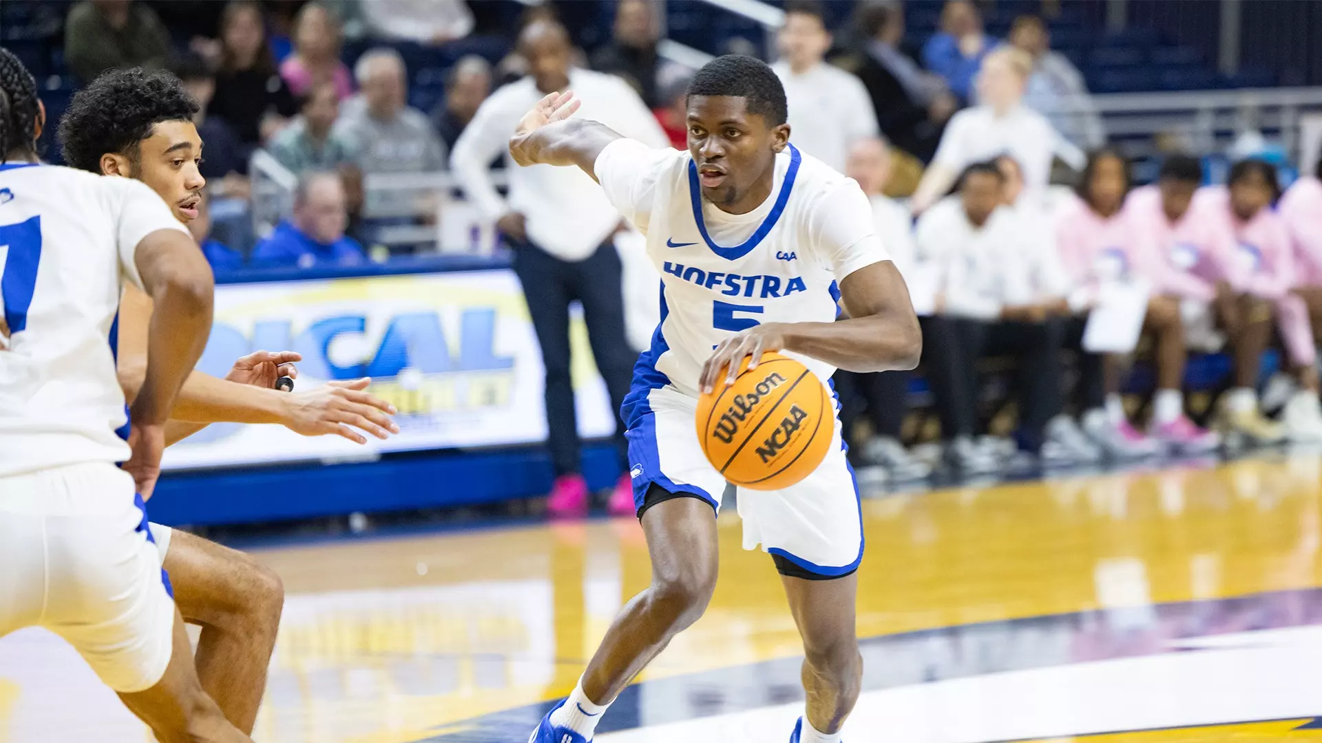 Cruz Davis - Men's Basketball - Hofstra University Athletics