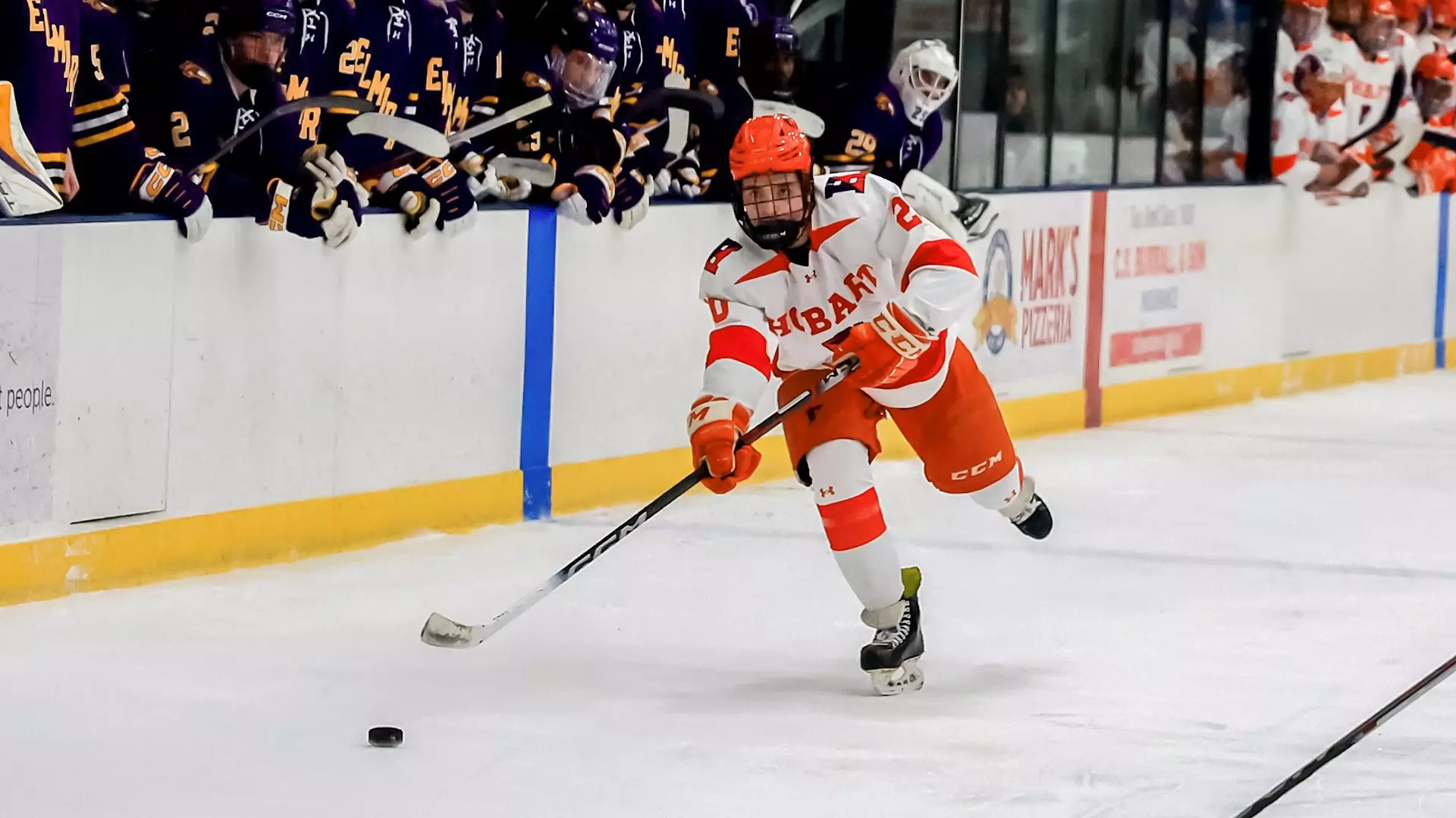Shane Rohan Shell D-III Men's Week Six in Review: Ranked matchups galore! - DIII Hockey News