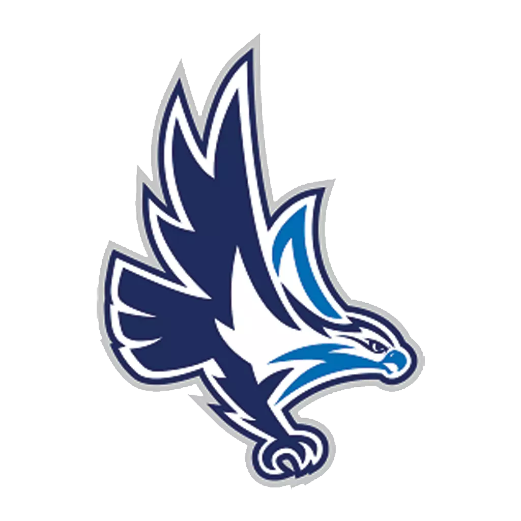 Textured Chocolate Squares