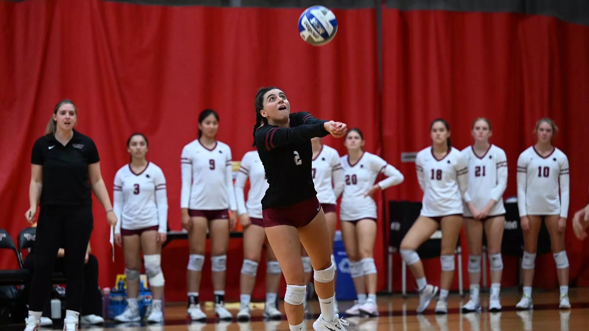 Ali Haley Daphne Gavros - 2025 - Women's Volleyball - Massachusetts Institute of ...