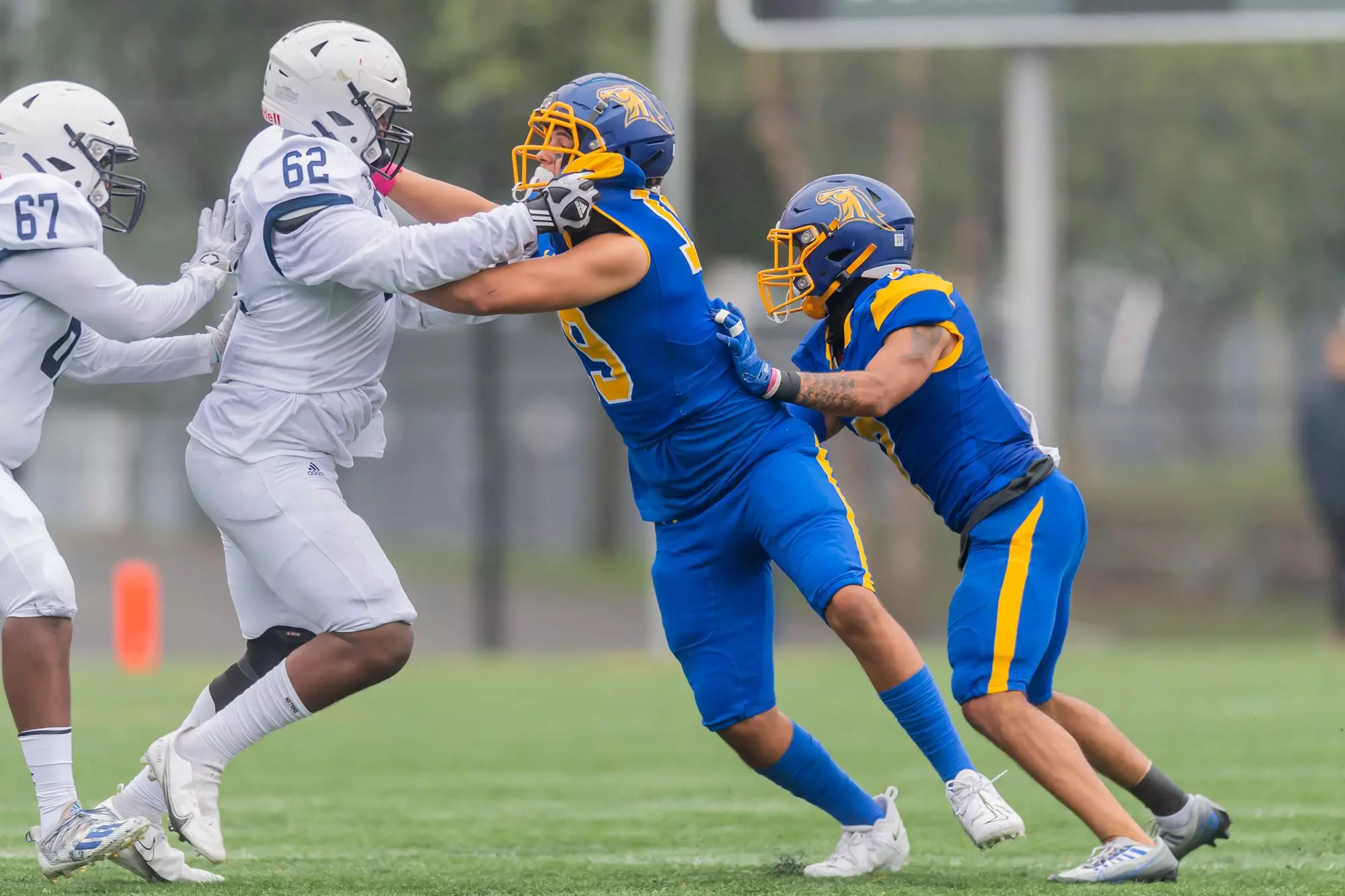 Rashawn Riley Xavier Marquez - Football - Monroe University Athletics