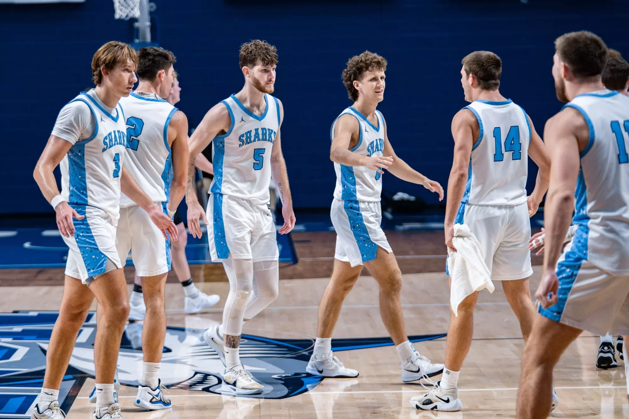 Sharks Highlight NABC All South District Awards Nova Southeastern sharks-highlight-nabc-all-south-district-awards-nova-southeastern