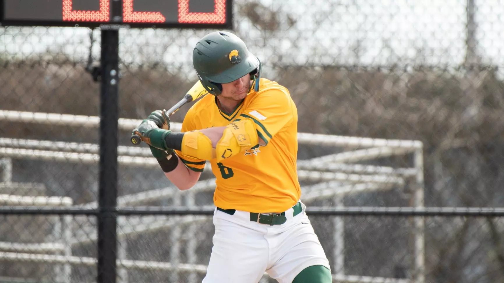 Collin Curry - Baseball - Norfolk State University Athletics