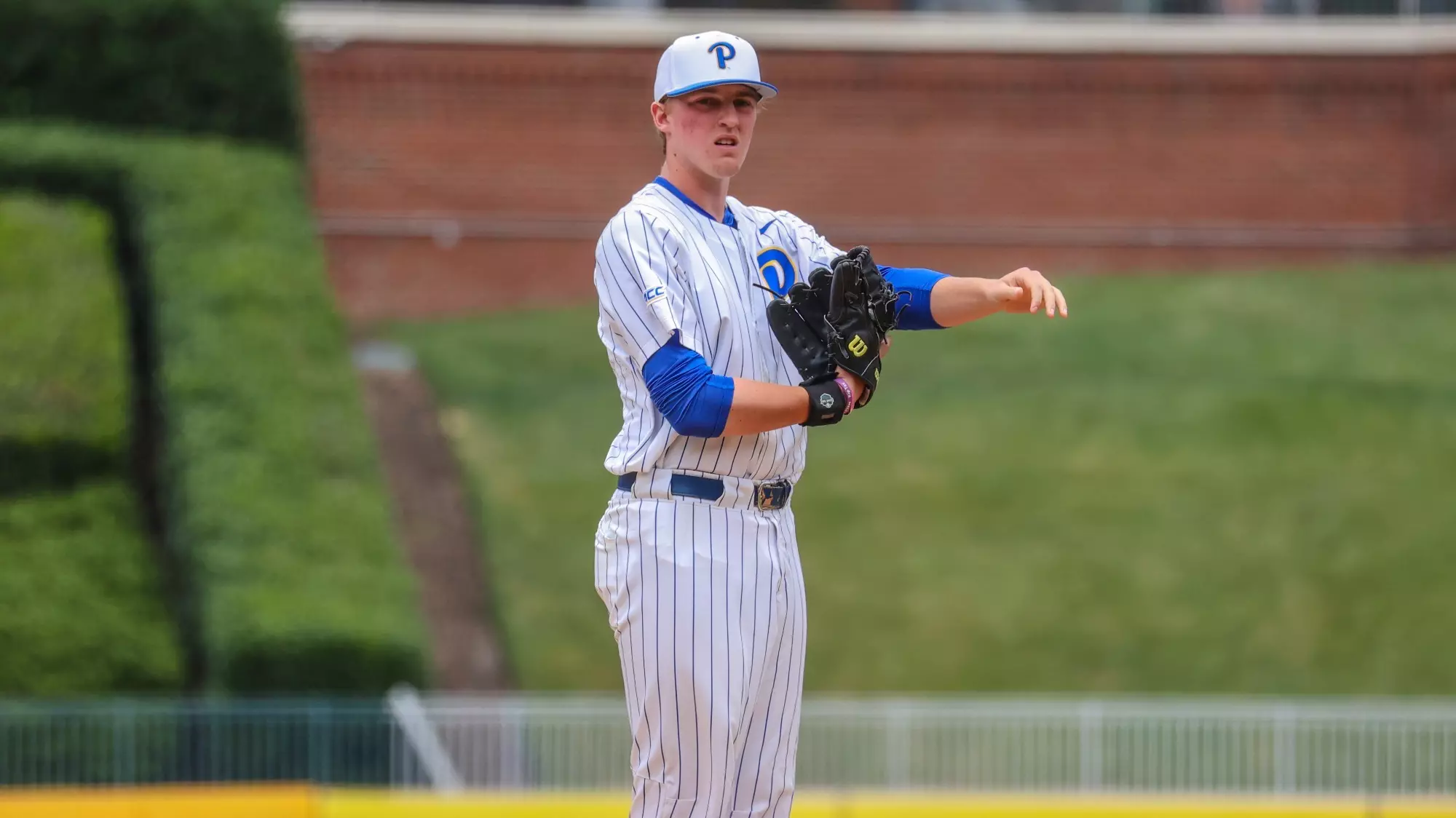 Ryan Reed - Baseball - Pitt Panthers #H2P